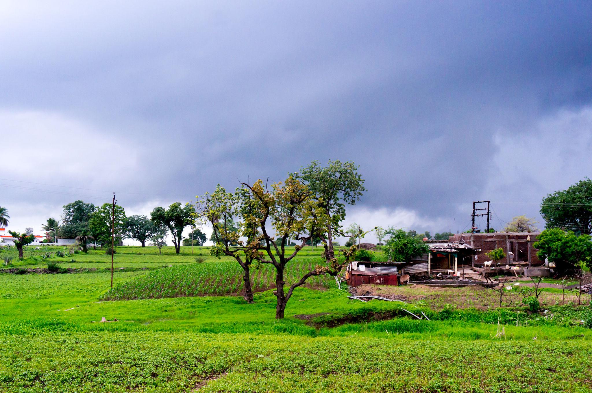 सीधी मौसम